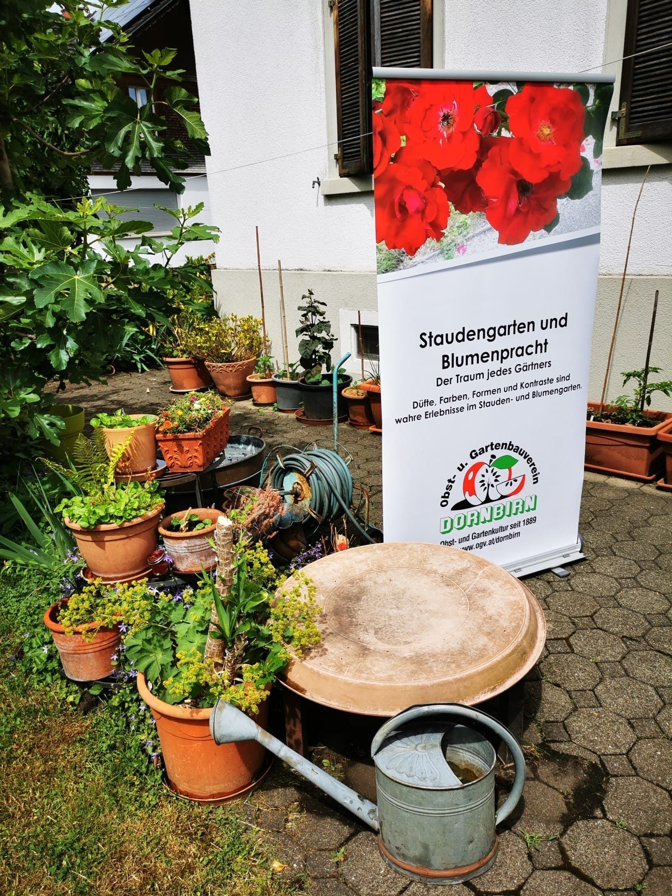 Der Workshop des OGV Dornbirn fand im Rahmen der Umweltwoche statt.