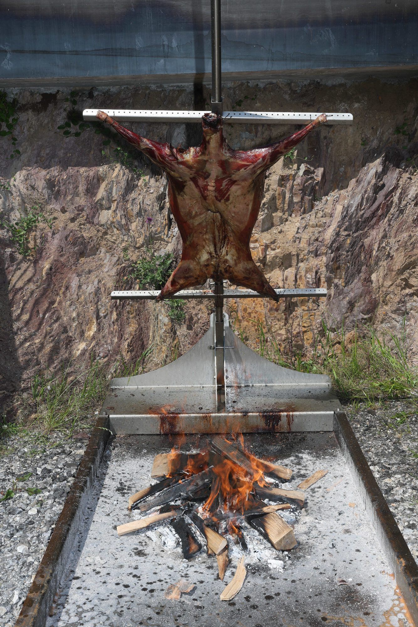 Festmahl in unvergleichlicher Grillwiese