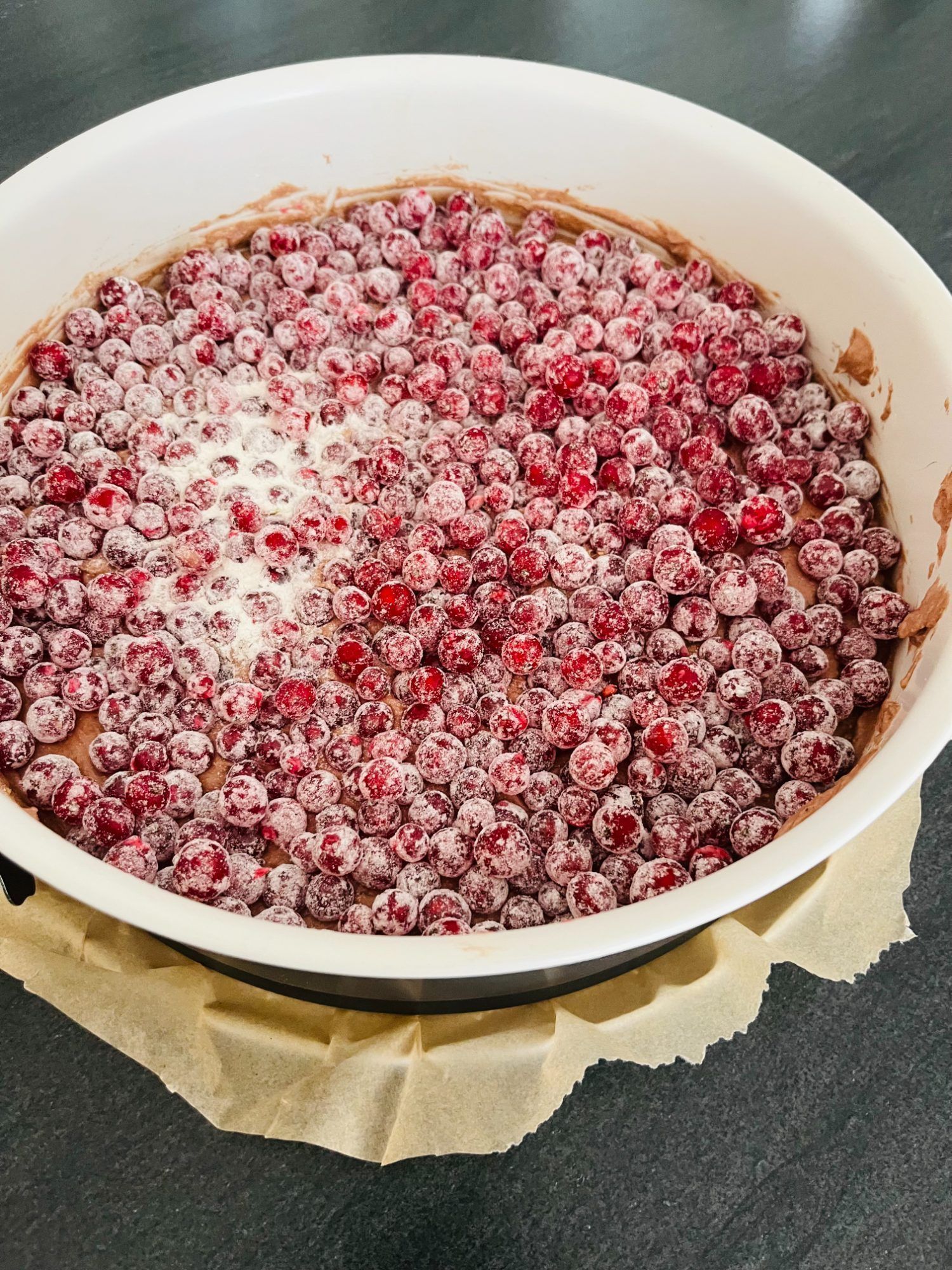 Schoko-Johannisbeer-Kuchen