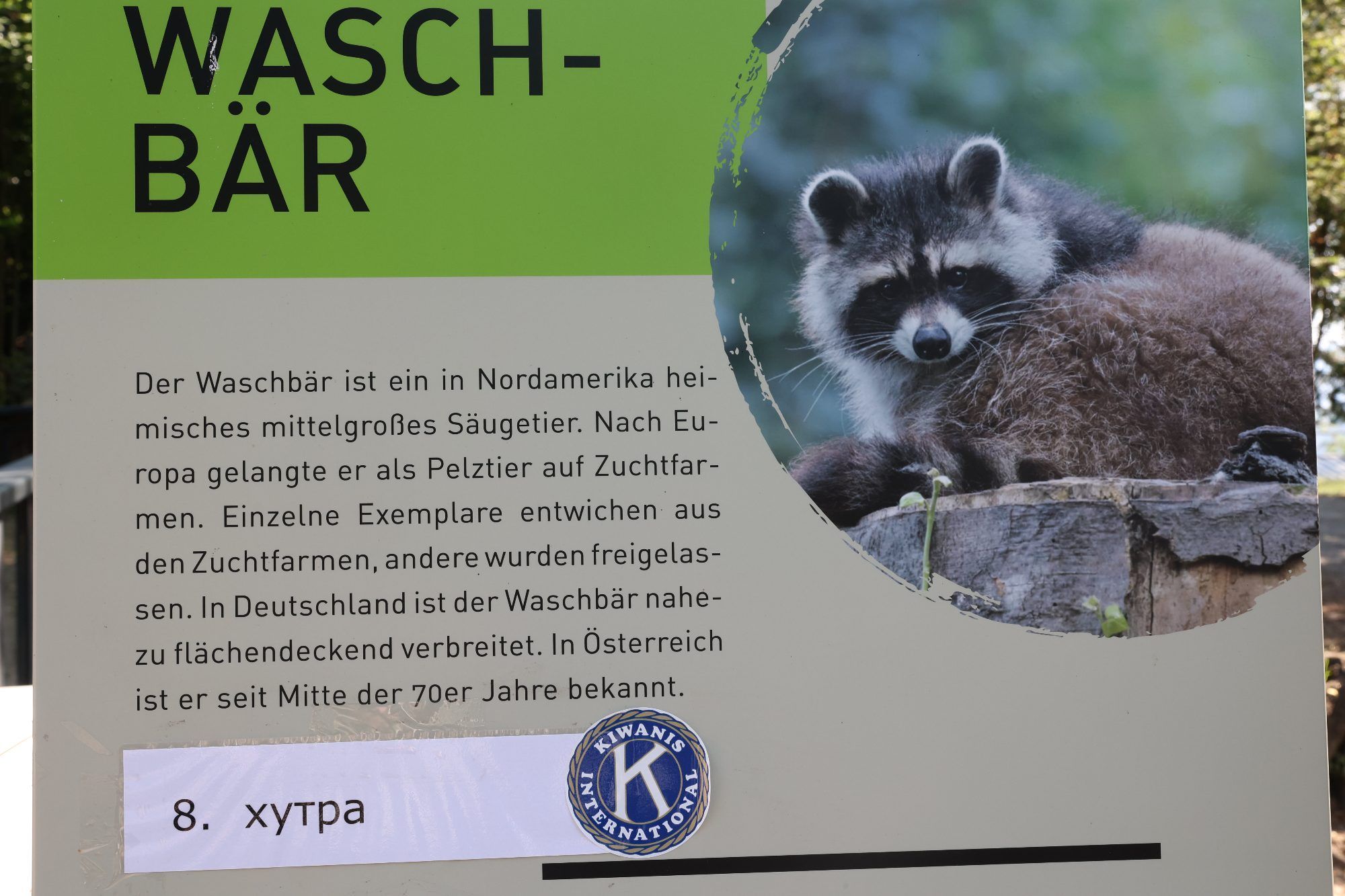 Unbeschwerte Tage für junge Gäste aus der Ukraine