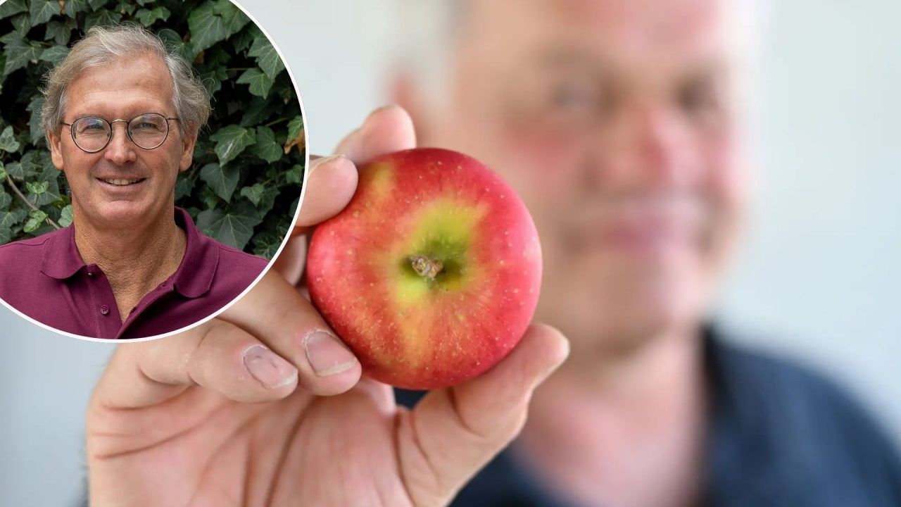 Der "Superapfel" spaltet die Obstbauern am Bodensee