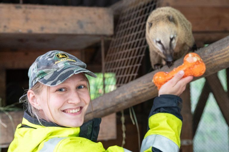 Vom Albino-Känguru bis zum Ponyfohlen: Tierischer Nachwuchs im Doppelmayr-Zoo
