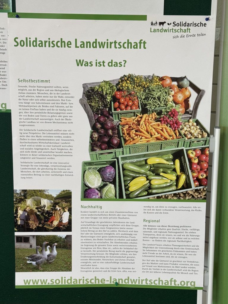 Die stille Revolution im Gemüsebeet – "Wenn der Supermarkt leer ist, brauchen wir einen natürlichen Plan B"