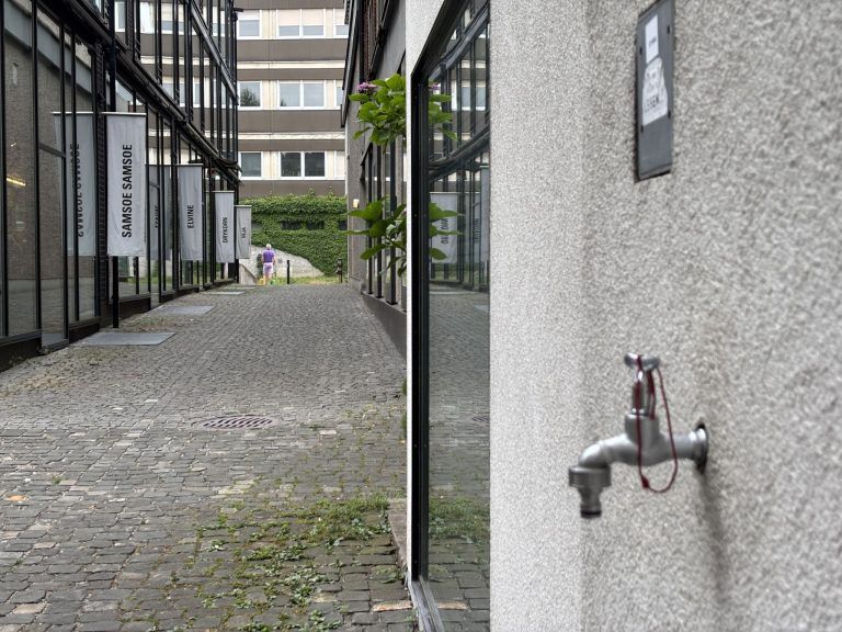 Vom Schandfleck zum grünen Hingucker: Franz Wölfler netzt ein Hochhaus