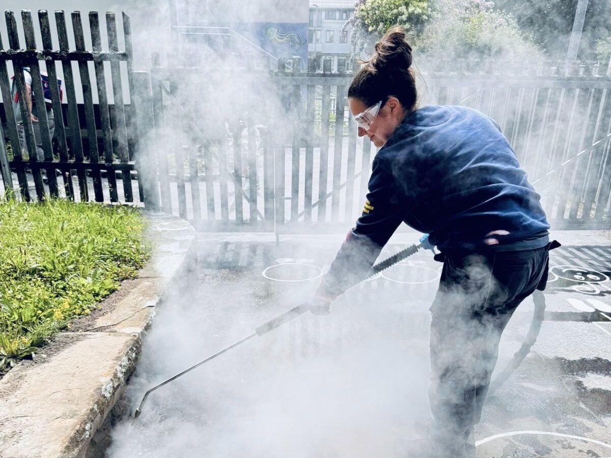 Ameisen im Haus: Was wirklich gegen die Schädlinge hilft