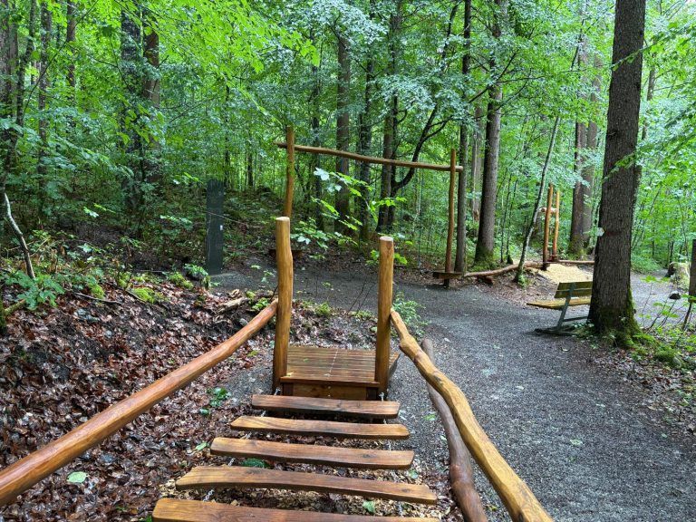 Dem Riesen auf den Fersen: Neuer Erlebniswald in Mellau begeistert Besucher