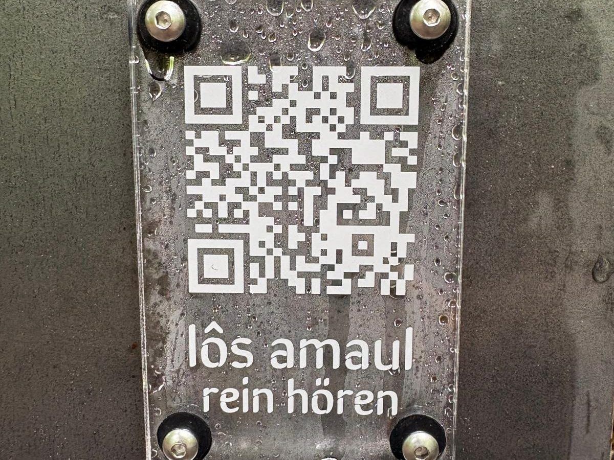 Dem Riesen auf den Fersen: Neuer Erlebniswald in Mellau begeistert Besucher