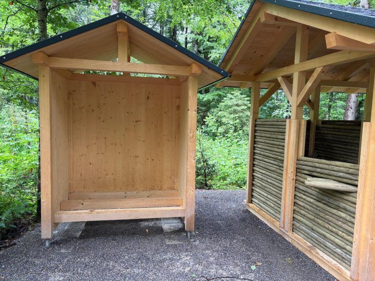 Dem Riesen auf den Fersen: Neuer Erlebniswald in Mellau begeistert Besucher