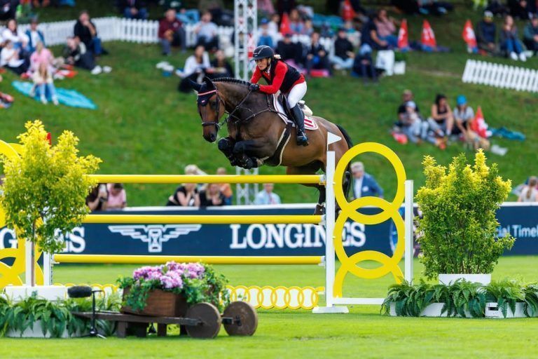 Reitsport