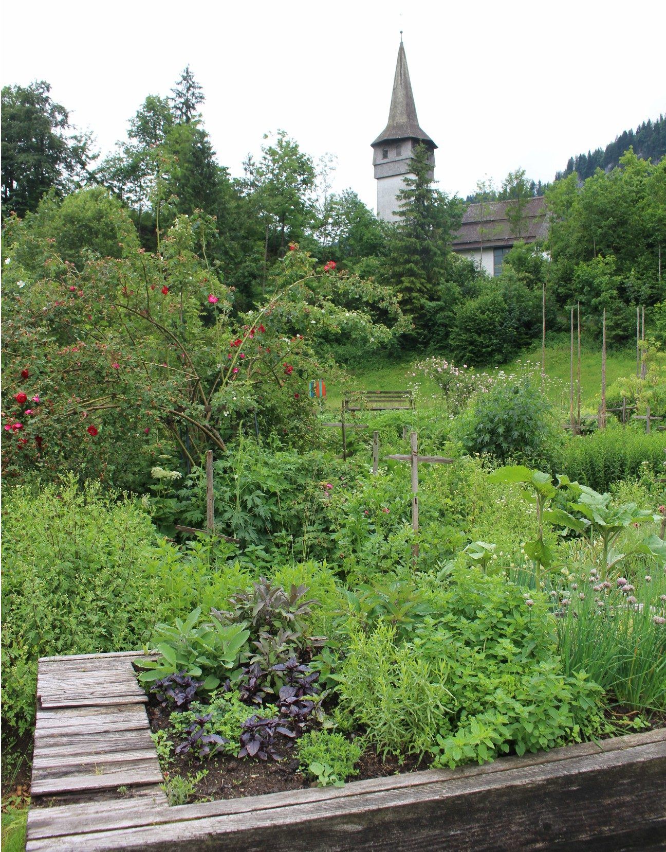 Der Gemeinschaftsgarten unterhalb der Kirche von Reuthe ist ein grünes Paradies, das den Gartenfreunden nicht nur vielerlei Ackerfrüchte liefert, sondern auch ein Ort für Gemeinschaft ist.