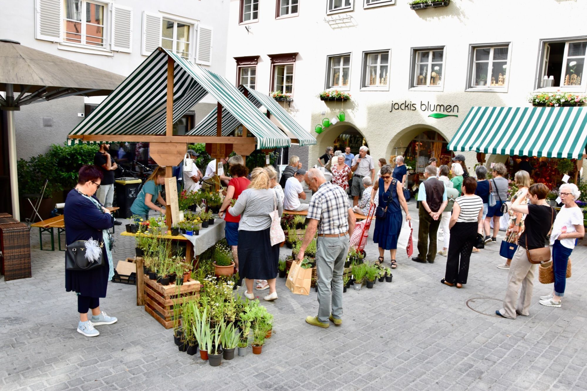 „WiFam“: Neue Adresse für Schwangere und Familien in Bludenz