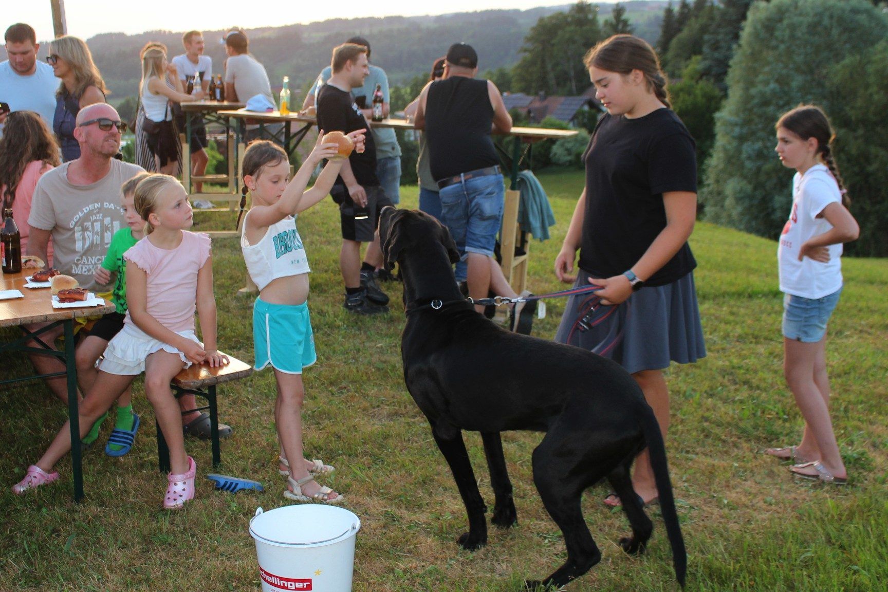 Die verfrühten Hundstage lassen grüßen – auch wenn diese Hitzeperiode vom 23. Juli bis 23. August nichts mit den Vierbeinern zu tun haben, sondern die Menschen im antiken Griechenland und im alten Ägypten dem „Hundsstern“ (Sirius) zuschrieben, dass er die hochsommerliche Hitze verstärke.
