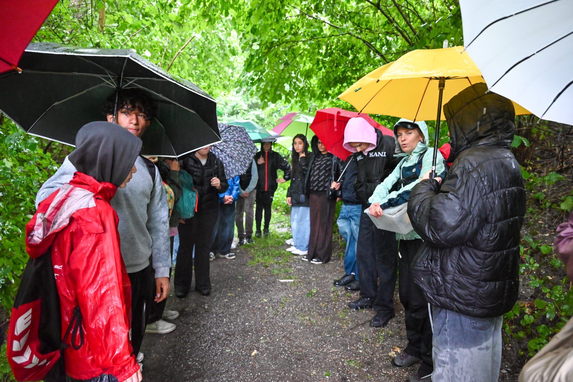 Etwas Schutz vor dem Regen gab es unter den Bäumen. 