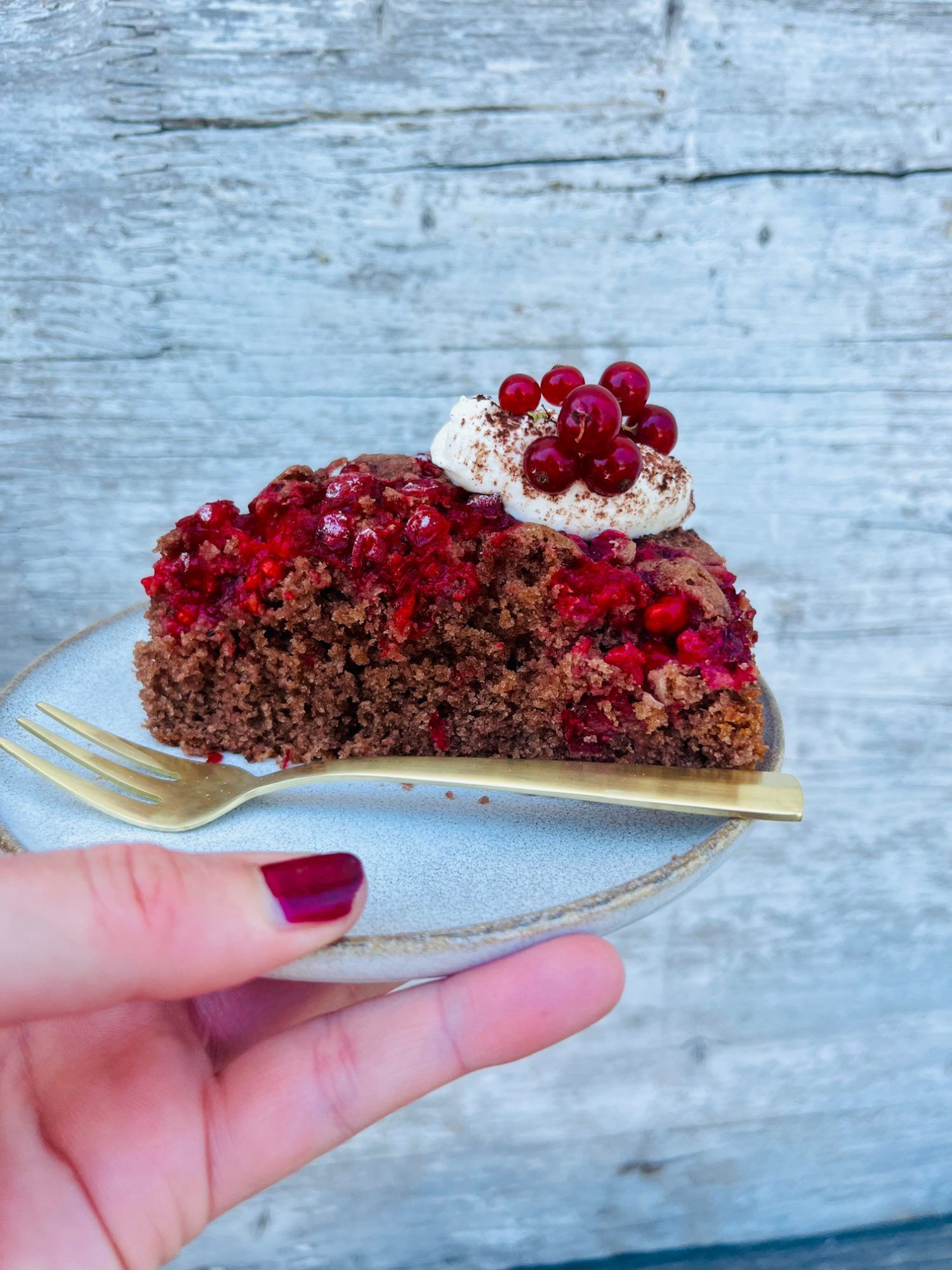 Schoko-Johannisbeer-Kuchen