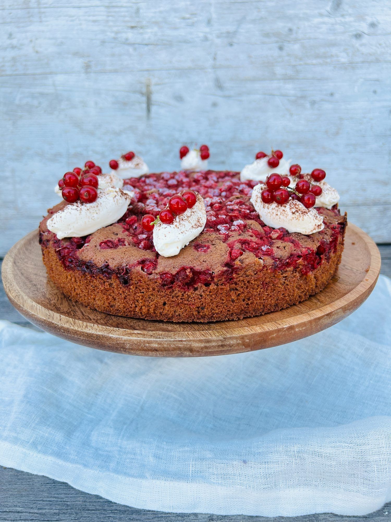 Schoko-Johannisbeer-Kuchen