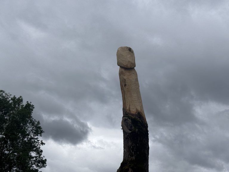 Dieses Bild hat ein leeres Alt-Attribut. Der Dateiname ist IMG_9873-768x576.jpeg