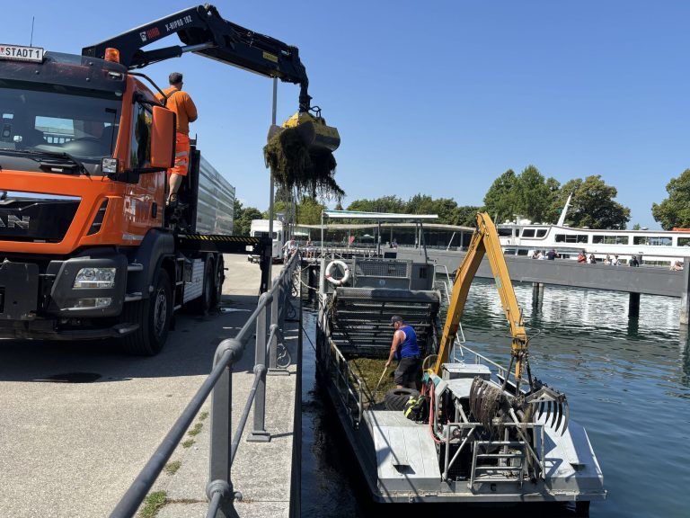 Die Leute bleiben stehen und schauen: Dieses Boot ist die aktuelle Attraktion im Bregenzer Hafen