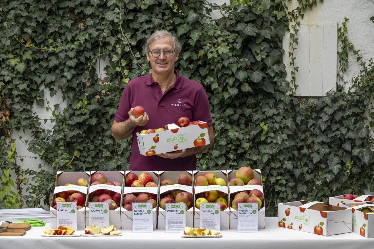 Der "Superapfel" spaltet die Obstbauern am Bodensee