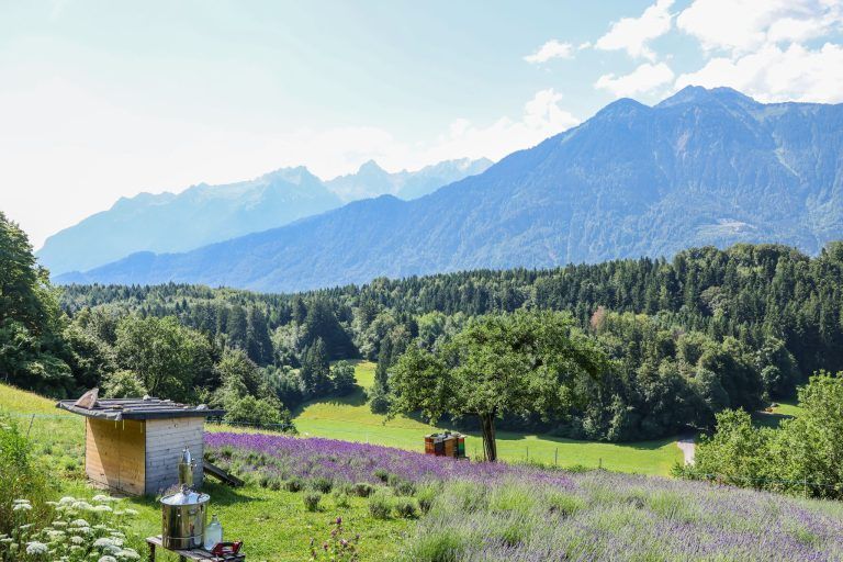 Ein Stück Provence mitten im Walgau