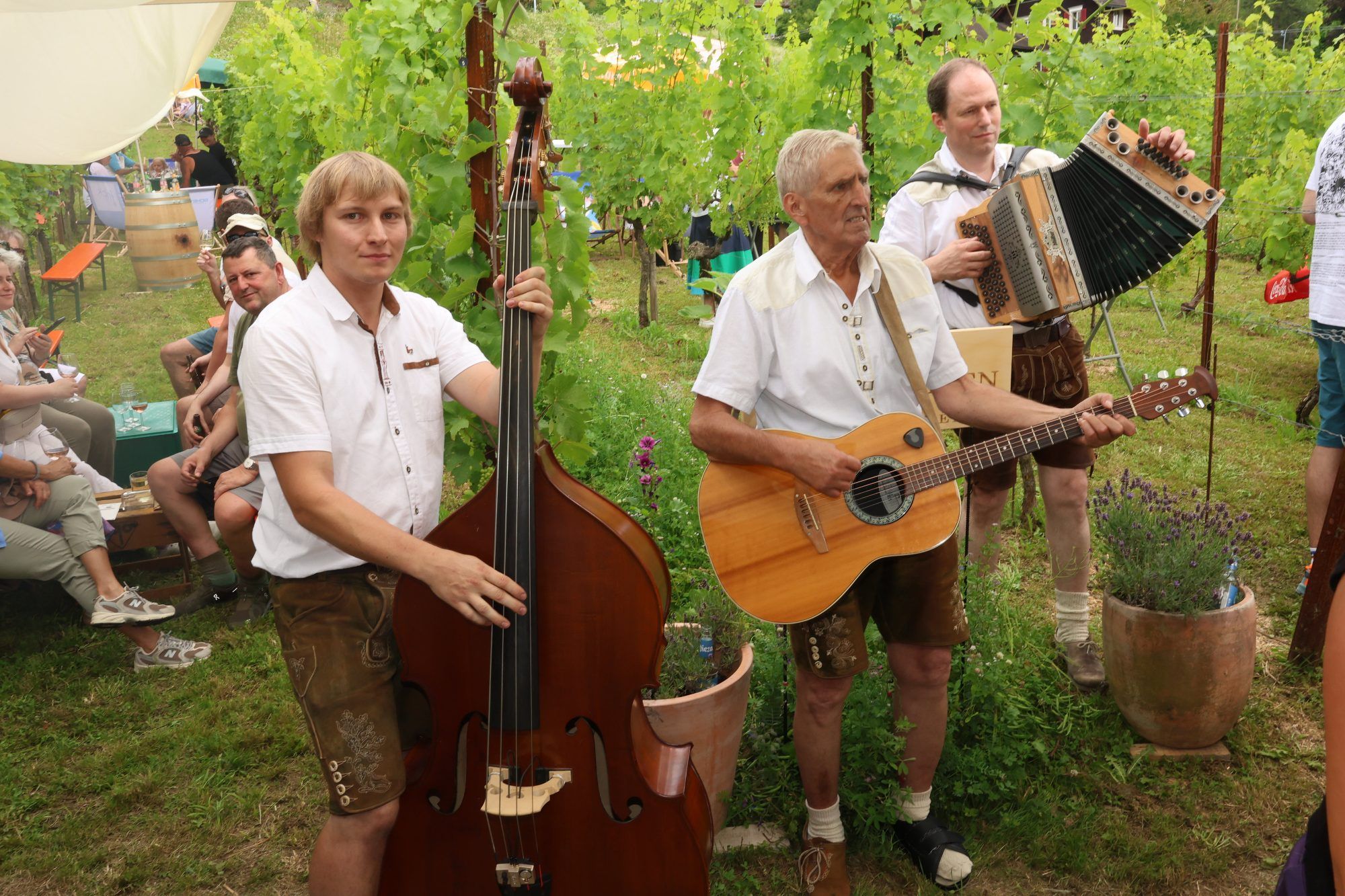 Blühstreifen und Fest in "Pfarrers Bühel"