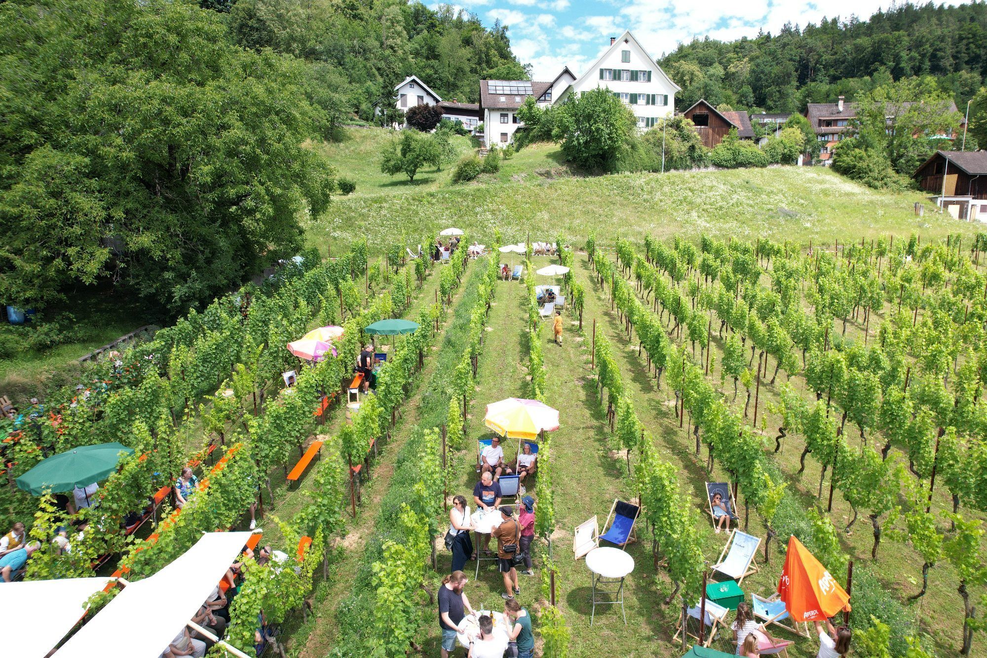 Im Weinberg konnte man es sich gemütlich machen.