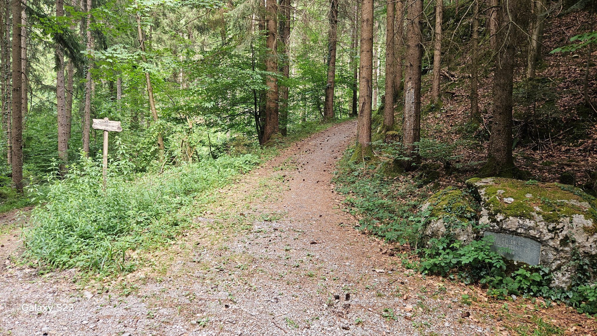 Bilderreihe der MTB-Strecke/Wanderweg beginnend bei St. Arbogast - Bild 4