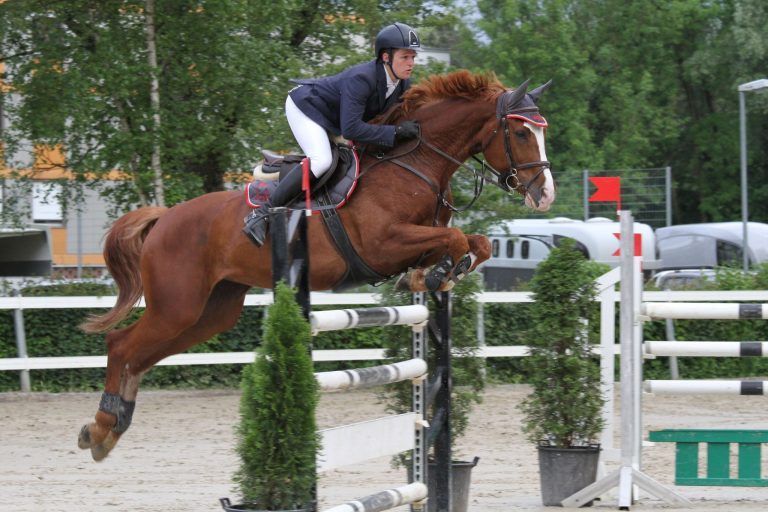 Reiten Springreitturnier 2015 BRV Pfingstturnier in Bregenz