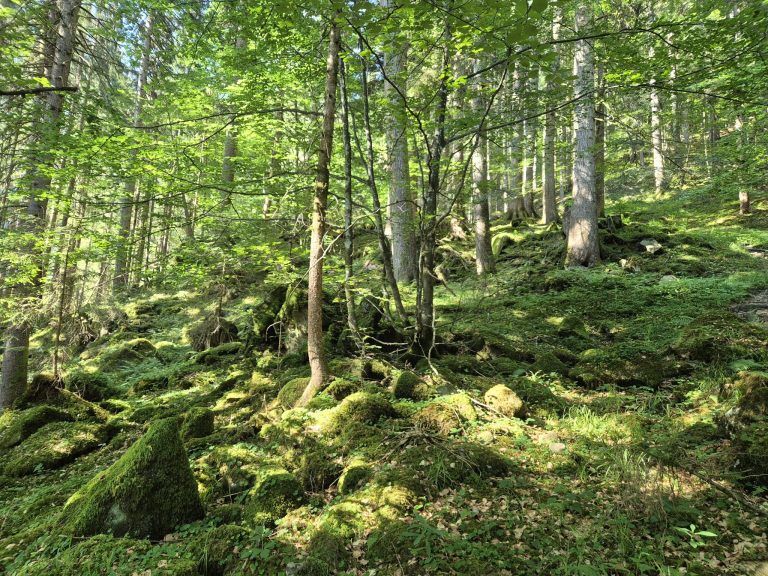 20260624_092232.jpg