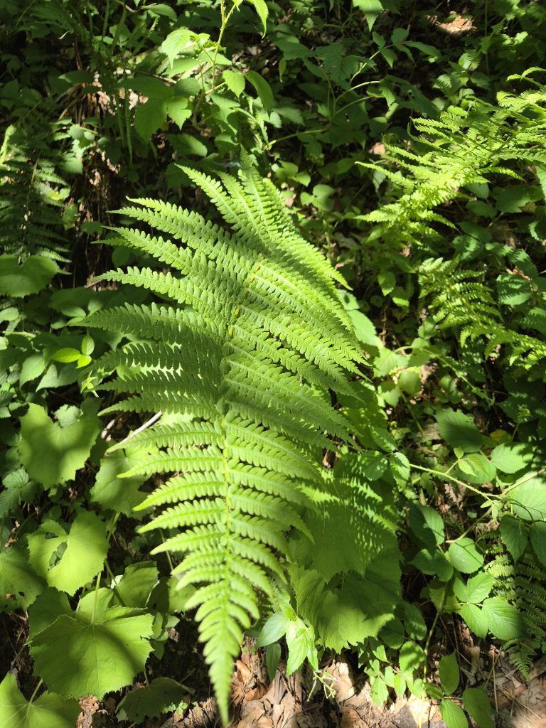 20260624_115336.jpg