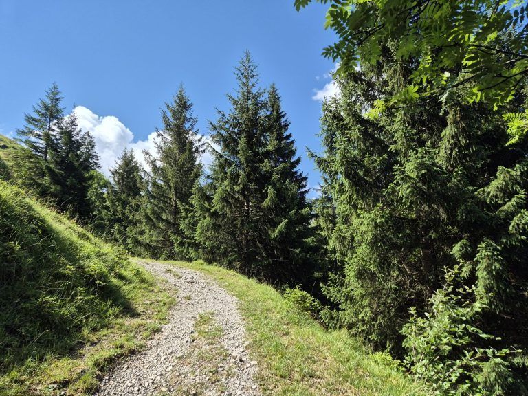 „Die Menschen am Berg haben keinen Stress“: Sabrina Seyfried hat ihren Platz am Berg gefunden