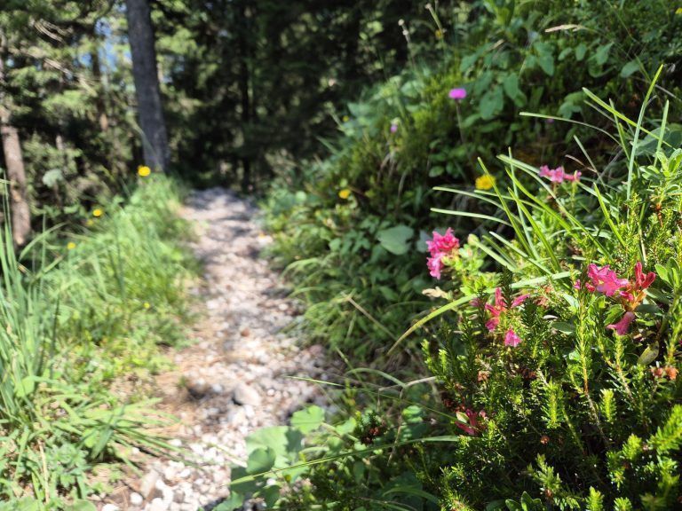 „Die Menschen am Berg haben keinen Stress“: Sabrina Seyfried hat ihren Platz am Berg gefunden