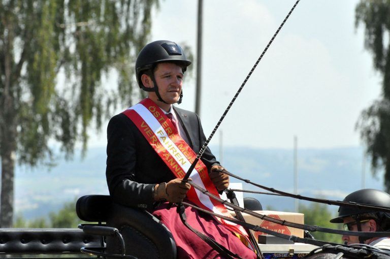 Pferdesport Vierspänner S
