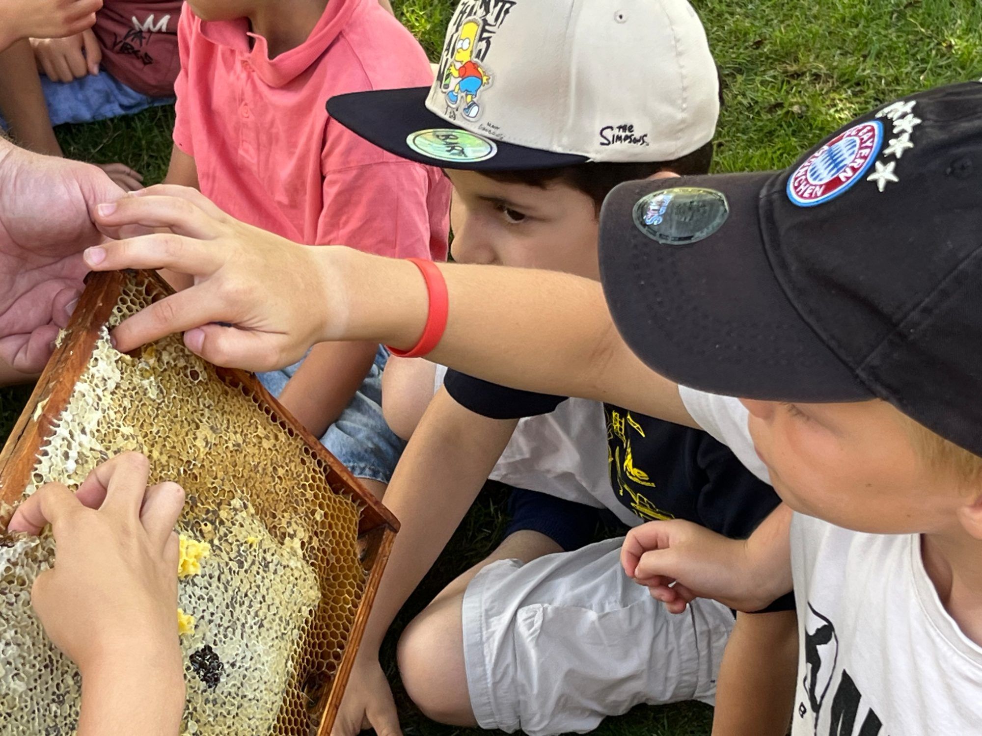 Die Kinder waren mit großer Neugier bei der Sache.