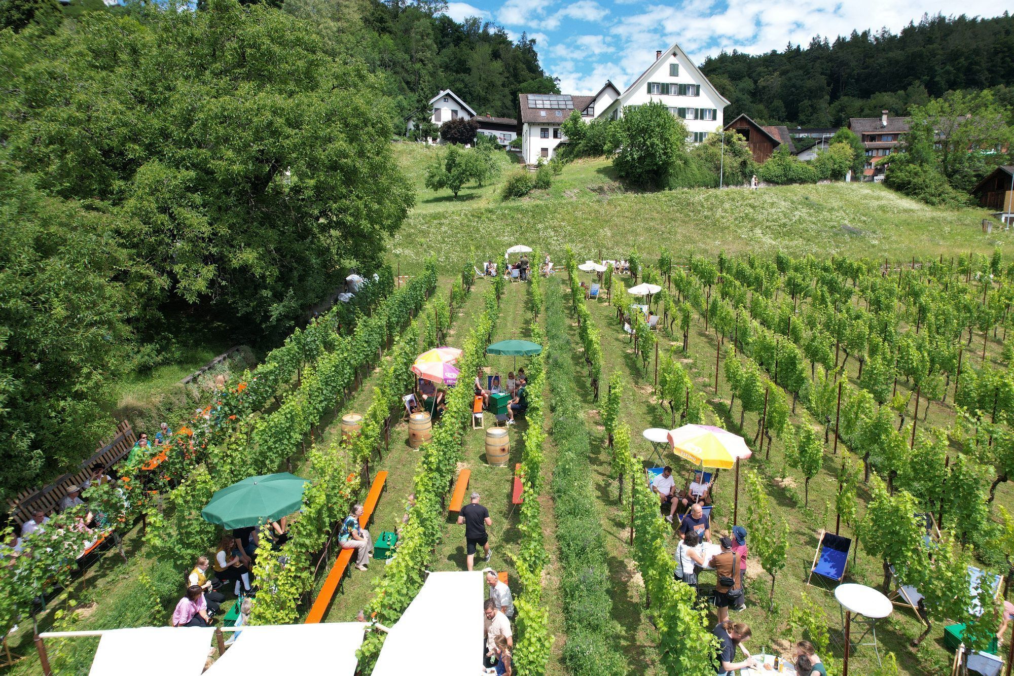 Blühstreifen und Fest in "Pfarrers Bühel"