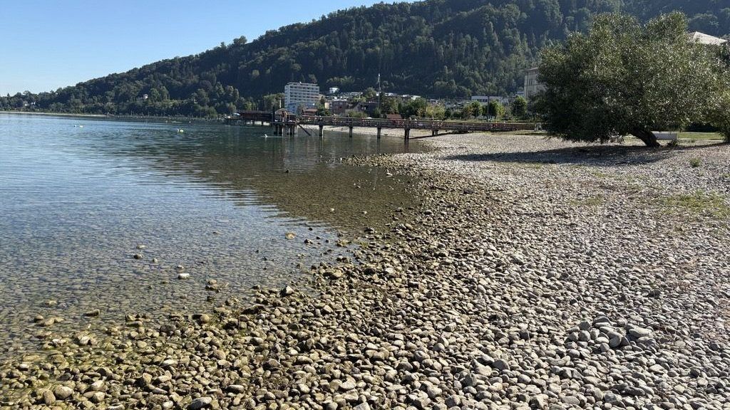Rekordtiefstand des Bodensees und Fischsterben: Wie geht es weiter?