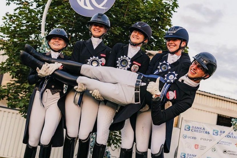 Pferdesport Reiten Dressur