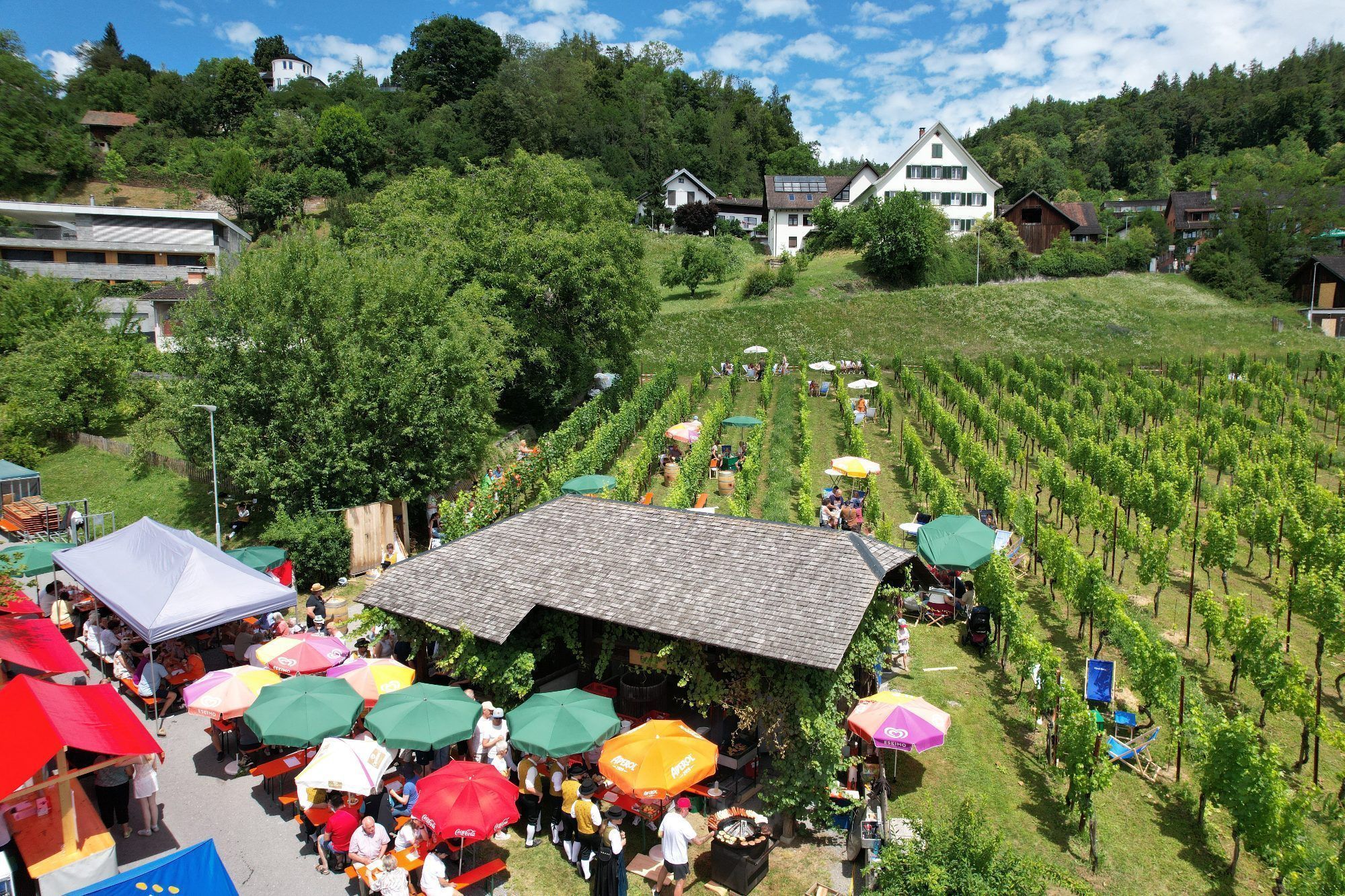 Blühstreifen und Fest in "Pfarrers Bühel"