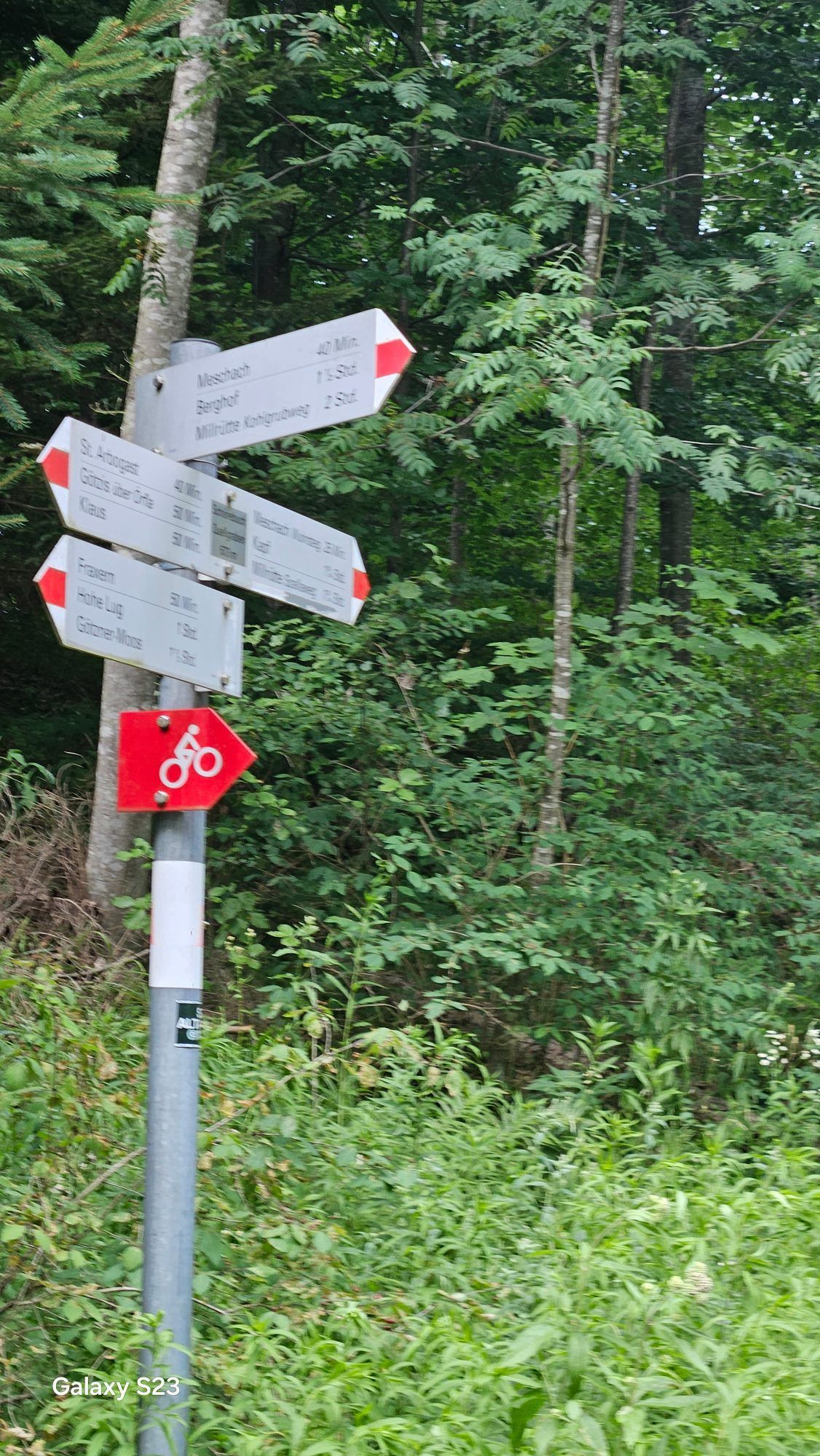 Bilderreihe der MTB-Strecke/Wanderweg beginnend bei St. Arbogast - Bild 5