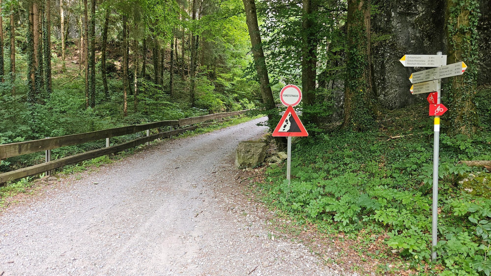 Bilderreihe der MTB-Strecke/Wanderweg beginnend bei St. Arbogast - Bild 2