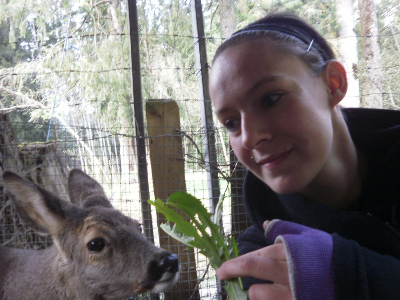 Ein Herz für mutterlose Rehkitze: Die Bambi-Retter von Doren