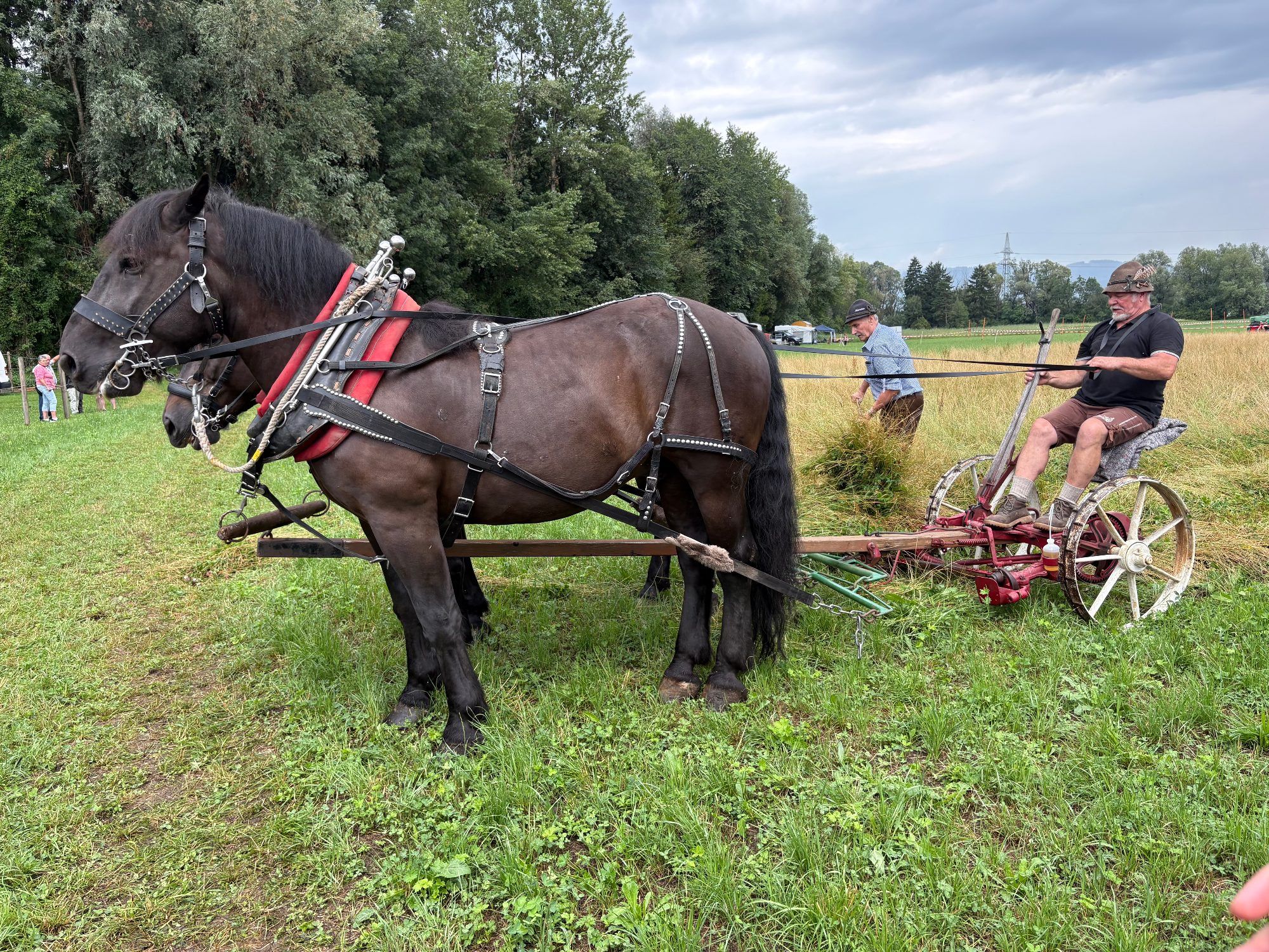 Impressionen vom Oldtimer-Traktortreffen des Traktor-Vereins Götzis auf SÀgers Ranch in Koblach.