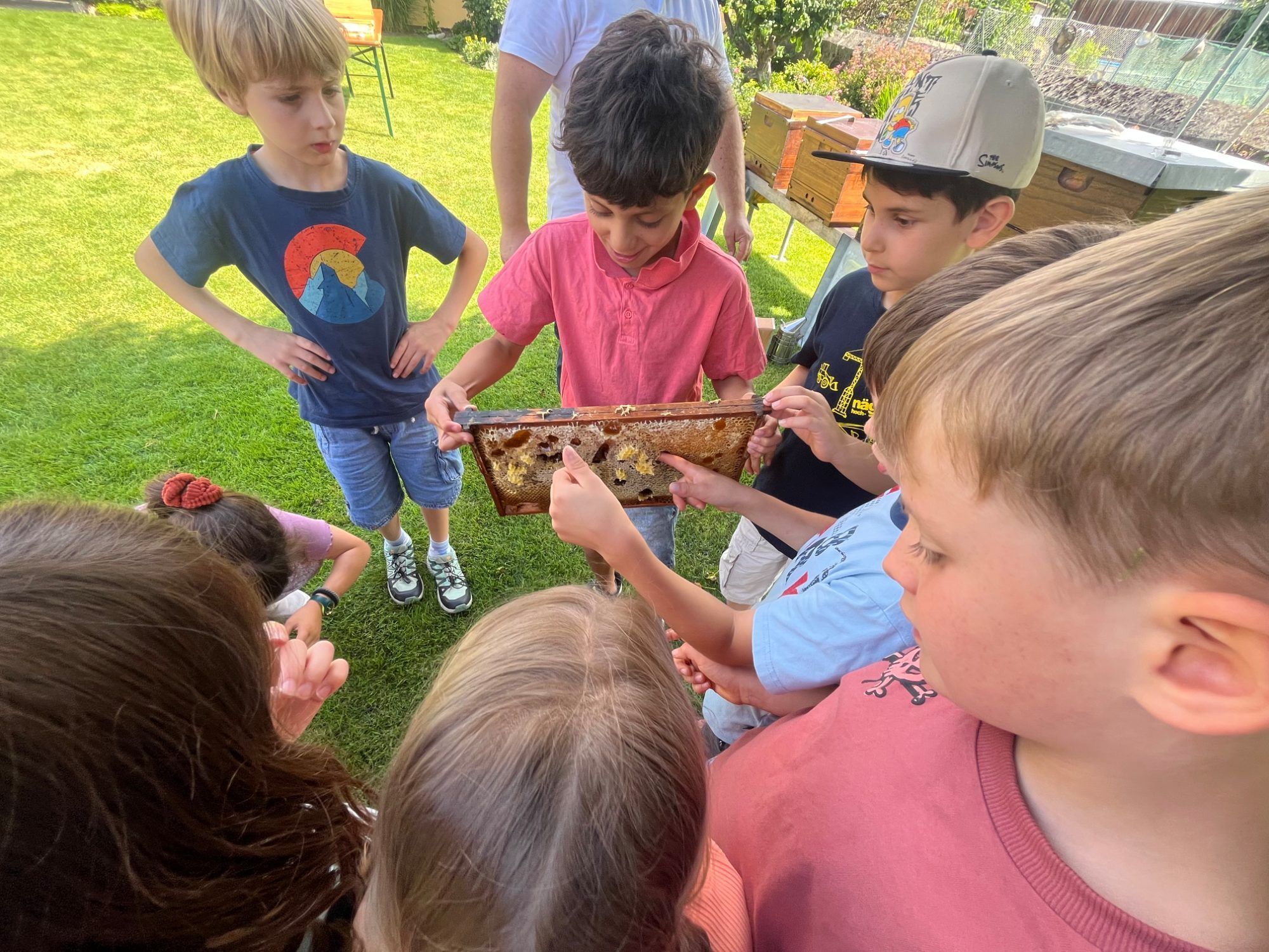 Ganz nah am Bienenvolk: Die Schülerinnen und Schüler staunten über das Leben im Bienenstock.