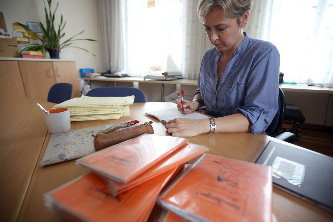 Steuerzahler sanieren Budget
