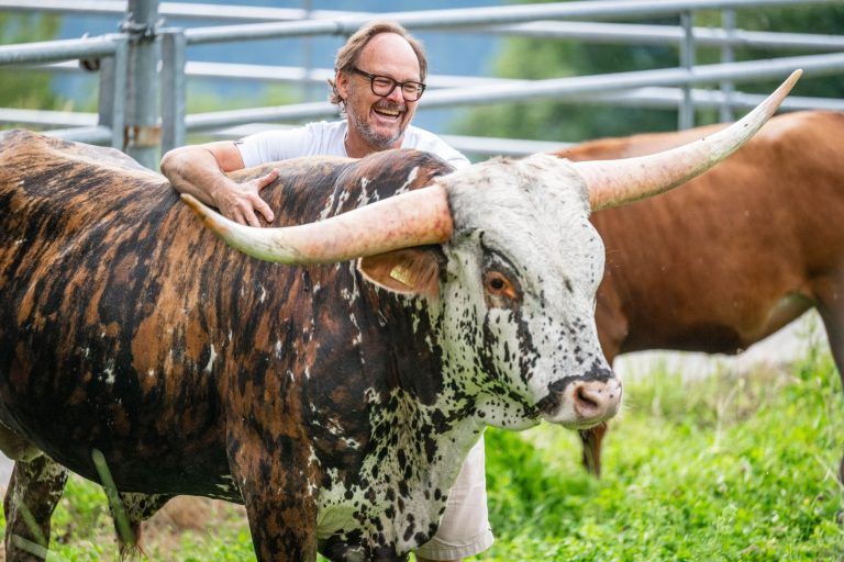 Außergewöhnlicher Nachwuchs: Ein kleiner Stier sorgt in Bartholomäberg für große Freude
