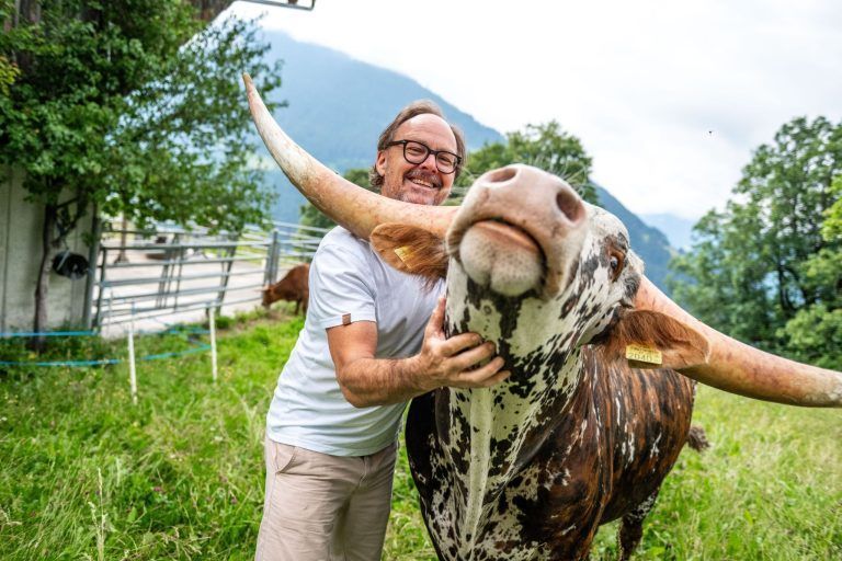 Außergewöhnlicher Nachwuchs: Ein kleiner Stier sorgt in Bartholomäberg für große Freude