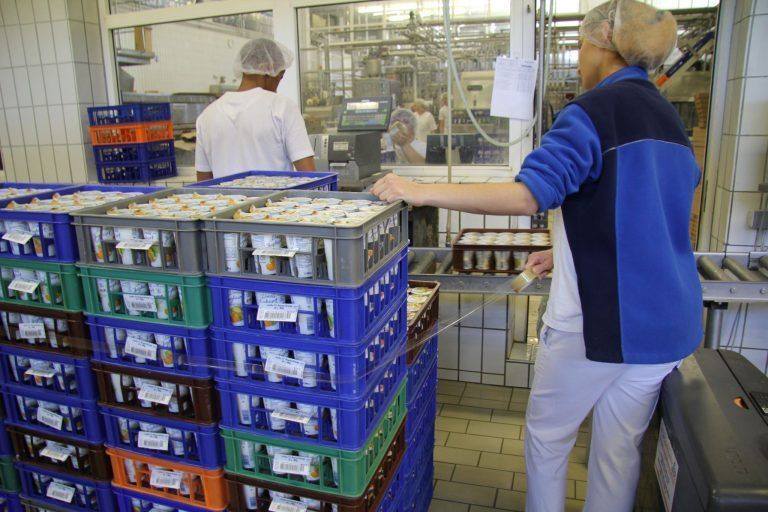 Produktion Vorarlberg Milch