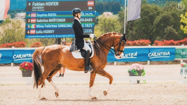 Pferdesport Reiten Dressur