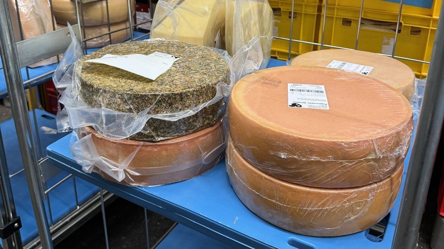 "In England kennt dich niemand" - Warum Käse Moosbrugger dort Gold holte