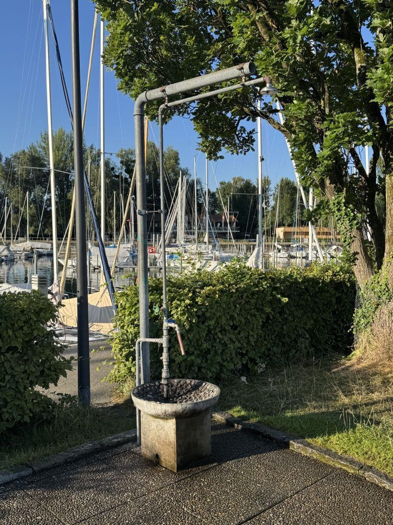 Early Birds am Bodensee: "Wenn der See noch schläft, beginnt unser Tag im Wasser"