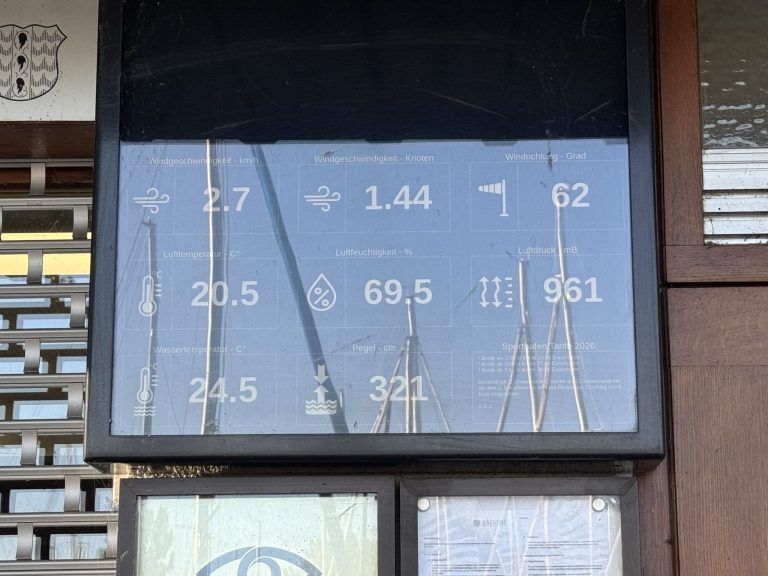 Early Birds am Bodensee: "Wenn der See noch schläft, beginnt unser Tag im Wasser"